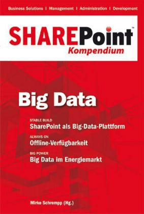 sharepoint_kompendium_bd_4_big_data